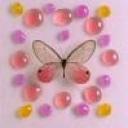 Profile picture for user JessicaAndrea