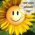 Profile picture for user 091060