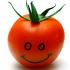 Profile picture for user tomatenkalle