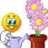 Profile picture for user Engel-22
