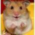 Profile picture for user Hamsterbacke