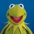 Profile picture for user froherfrosch