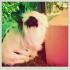 Profile picture for user Bini2101