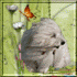 Profile picture for user aerolucy