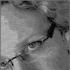Profile picture for user paulus224
