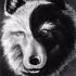Profile picture for user Soley