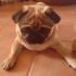 Profile picture for user anne1111