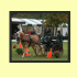 Profile picture for user emmapiel