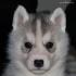 Profile picture for user elima