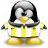 Profile picture for user pingee