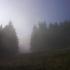 Profile picture for user gartenzwerg09
