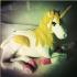 Profile picture for user Sprahorde