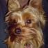 Profile picture for user gabriele888