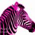 Profile picture for user Kitty3003