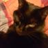 Profile picture for user Jule0505
