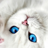 Profile picture for user Andi10