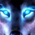 Profile picture for user Hardanger1