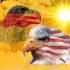 Profile picture for user Wayne
