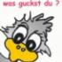 Profile picture for user Urmel2015