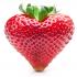 Profile picture for user VanillaHeart