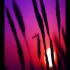 Profile picture for user Gloria1071