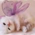 Profile picture for user Lilly82