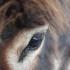 Profile picture for user Bergschubser