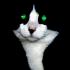 Profile picture for user ThermoTigger