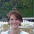Profile picture for user nocel