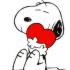 Profile picture for user brooke