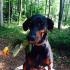 Profile picture for user Birgit-17