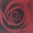 Profile picture for user gismo68