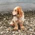 Profile picture for user Birgit4567