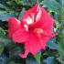 Profile picture for user Heidschnucke1701