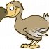 Profile picture for user Dodo-Lover