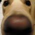 Profile picture for user rui.almeida11