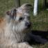 Profile picture for user Beate K.