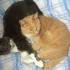 Profile picture for user Liesellotte
