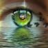 Profile picture for user Lisa@