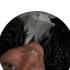 Profile picture for user Nicky040671