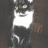 Profile picture for user Nanook1966