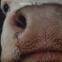 Profile picture for user Stefan123456789