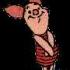 Profile picture for user kleines Ferkel