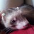 Profile picture for user Martin7869