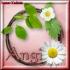 Profile picture for user Angi_NRW