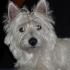 Profile picture for user lulu2002