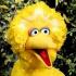 Profile picture for user Happy Bibo