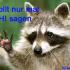 Benutzerbild