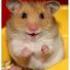 Hamsterbacke avatar