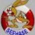 Seehase1977 avatar